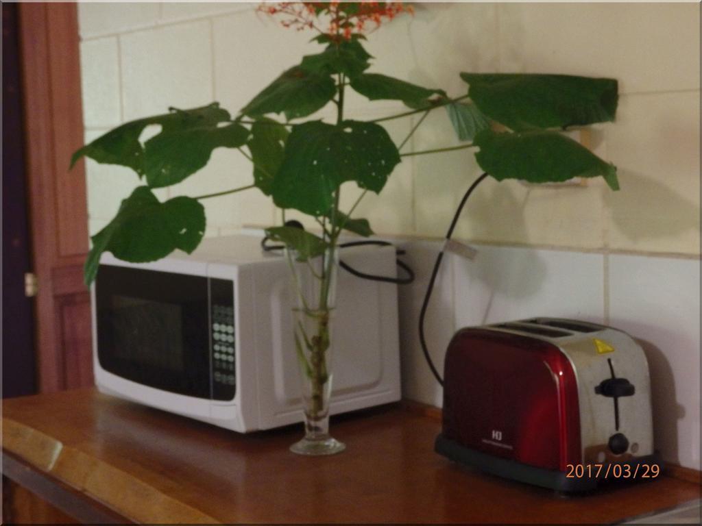 丹特里深林小屋酒店 苦难角 外观 照片